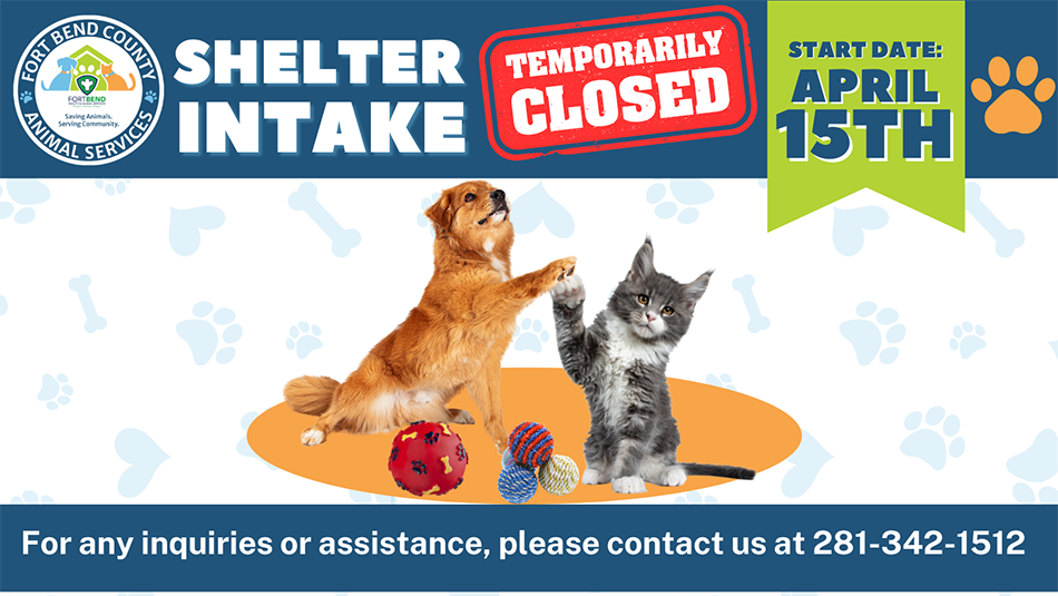 Shelter Intake Temporarily Closed